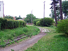 min 495 7.jpg min 495 7.jpg